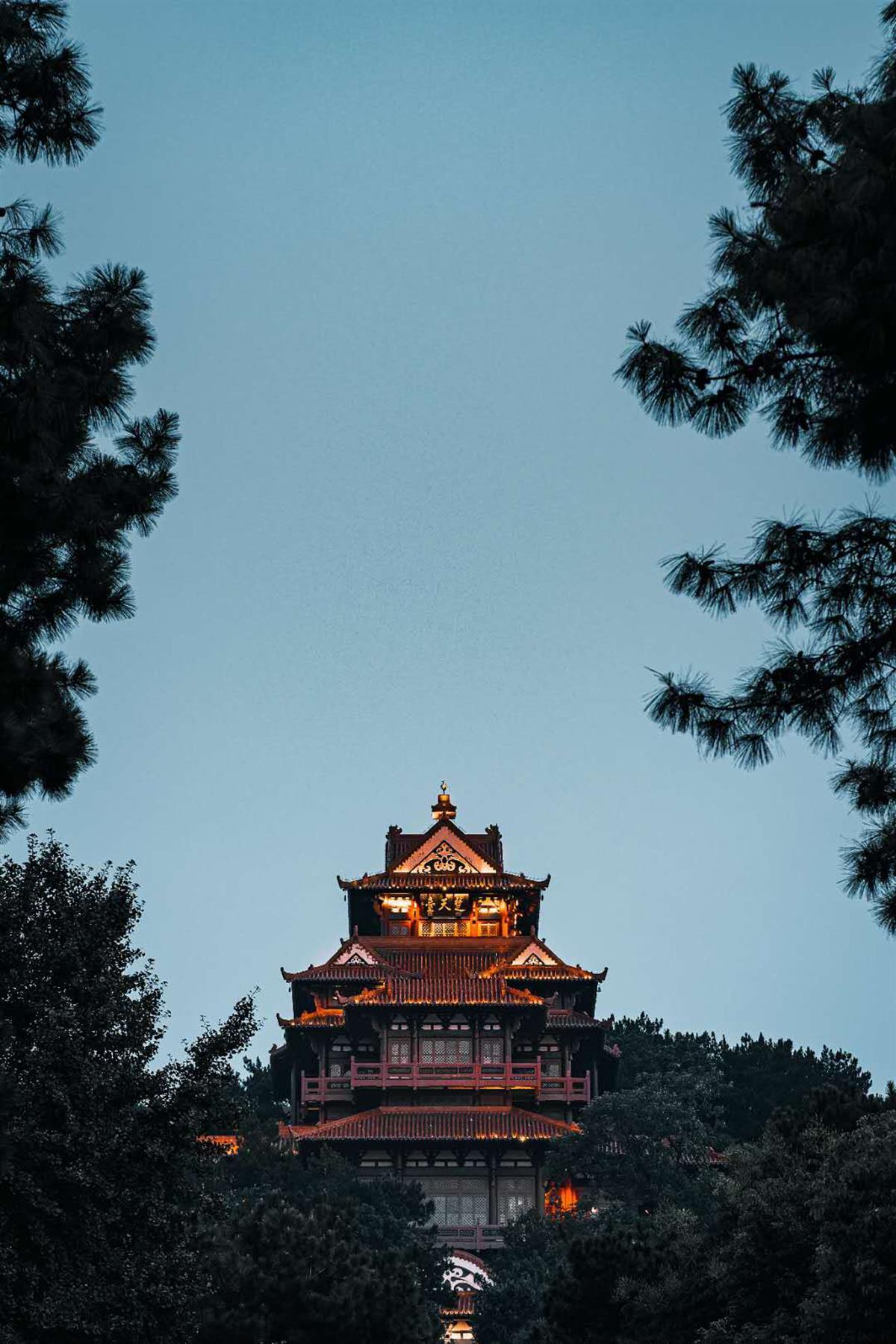 永利真人在线
